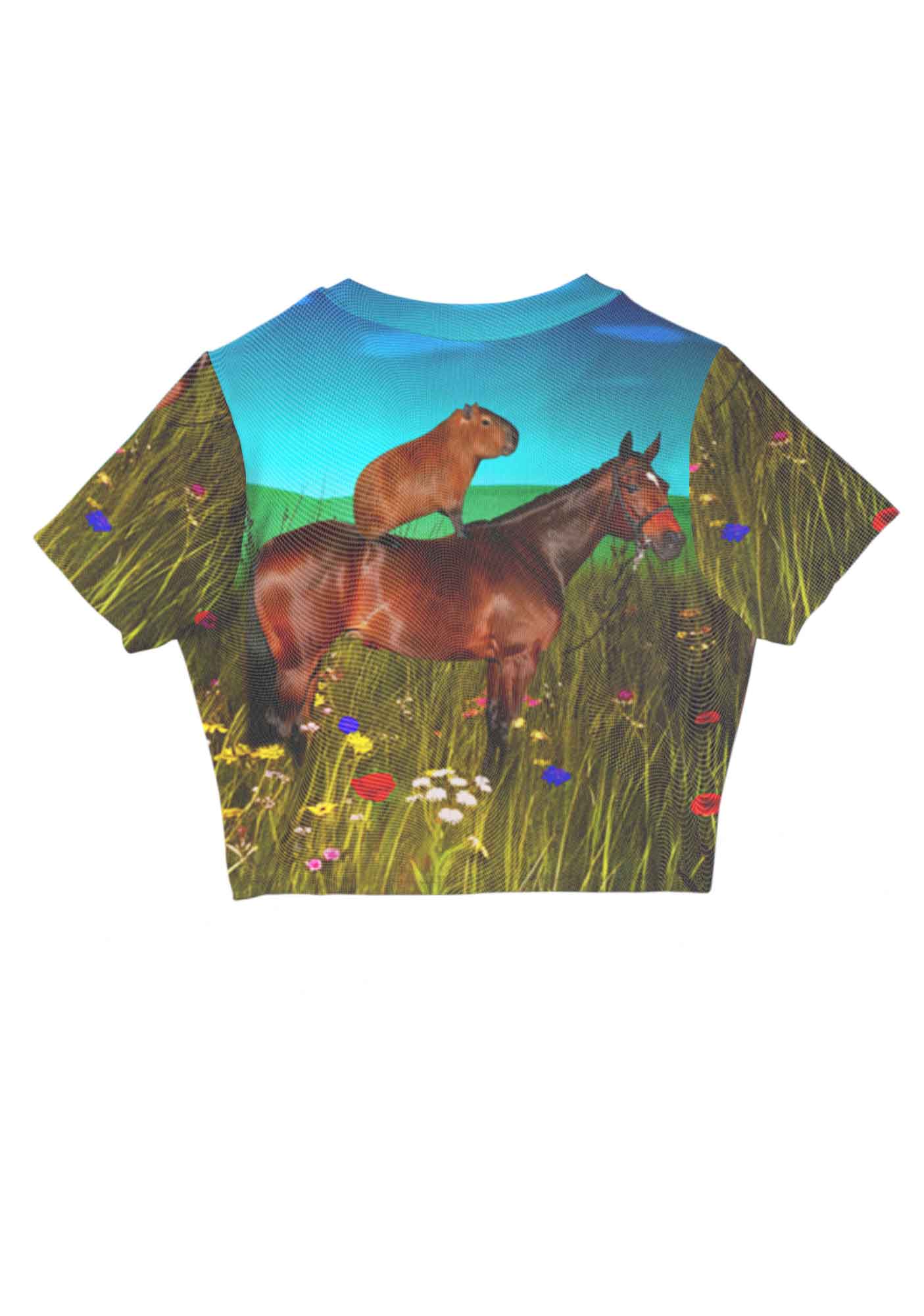 Horseback Capybara Y2K Mesh Crop Top Cherrykitten