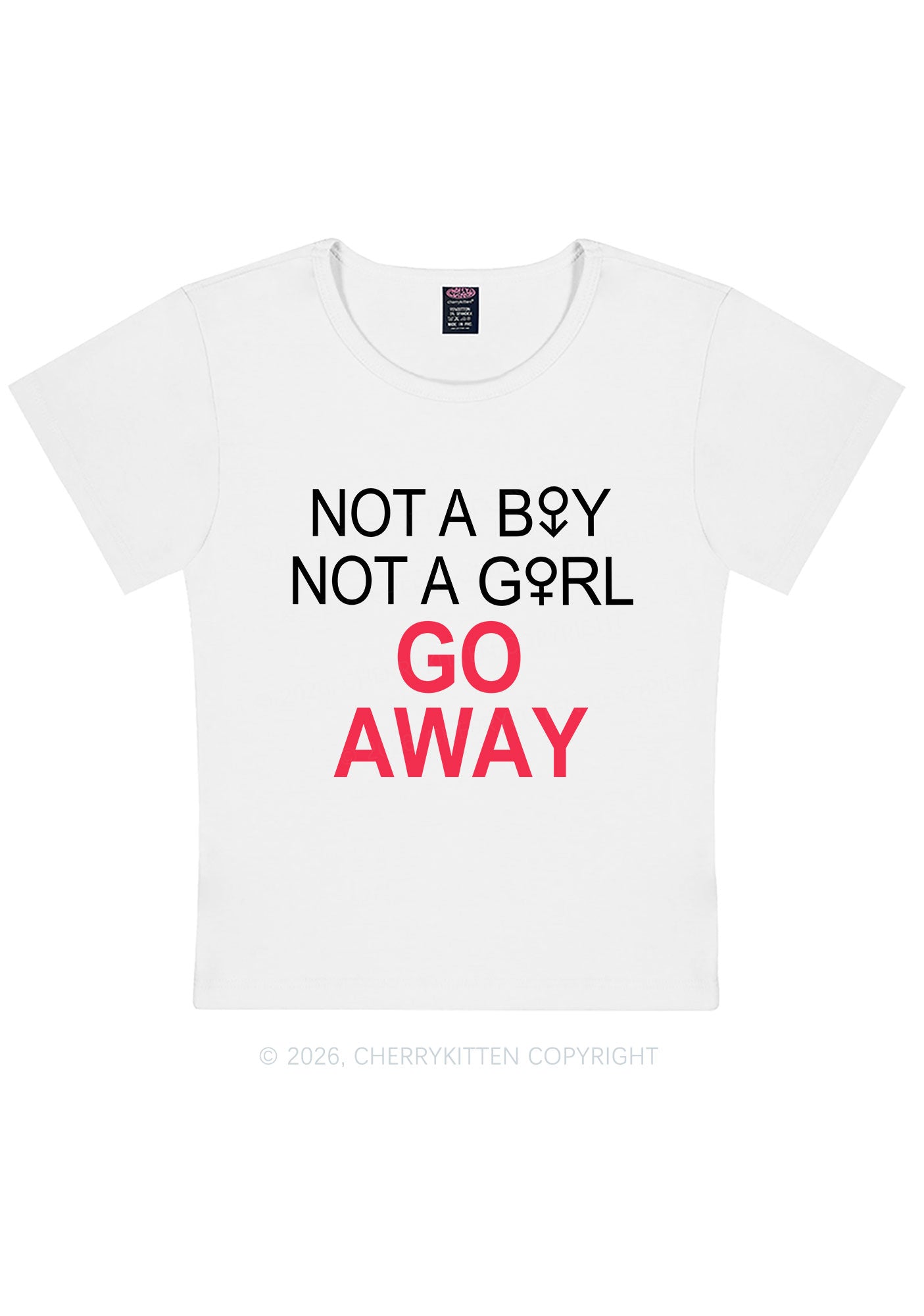 Go Away Pride Y2K Baby Tee Cherrykitten