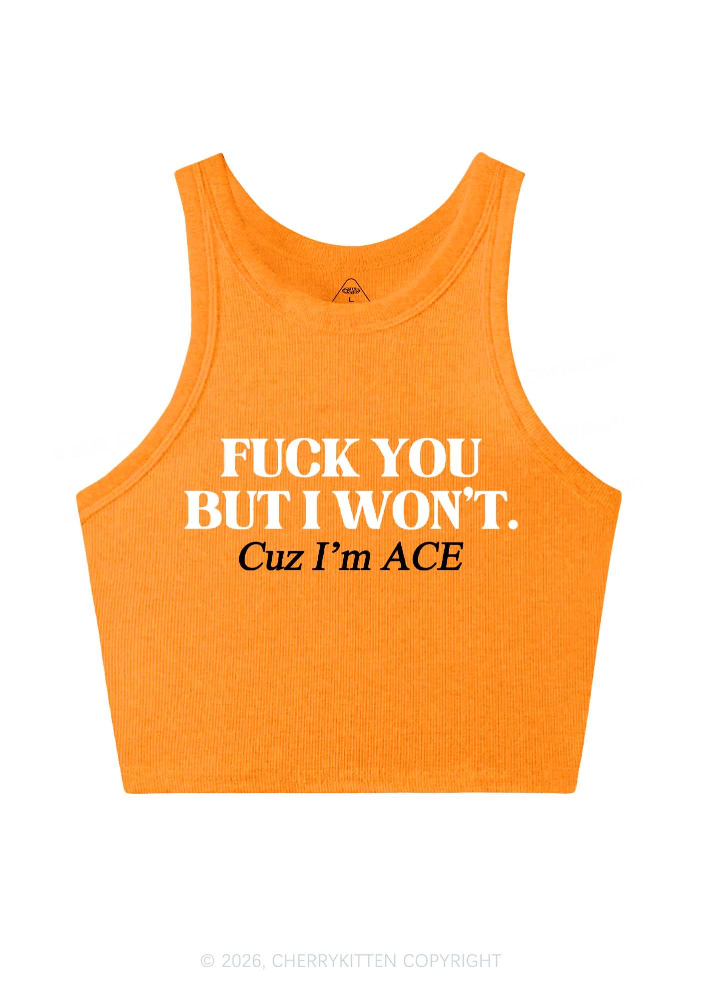 Fxxk You Cuz Im Ace Pride Y2K Crop Tank Top Cherrykitten