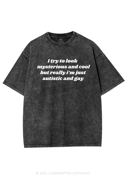 Im Just Autistic And Gay Pride Y2K Shirts Washed Tee Cherrykitten
