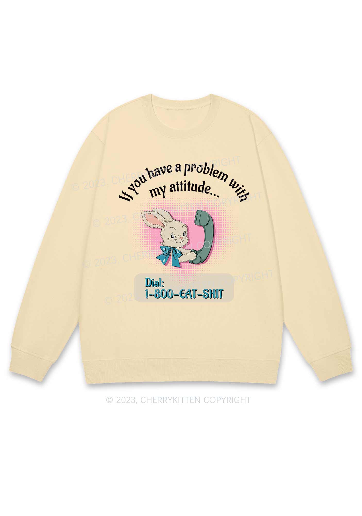 You Have A Problem Y2K Sweatshirt Cherrykitten