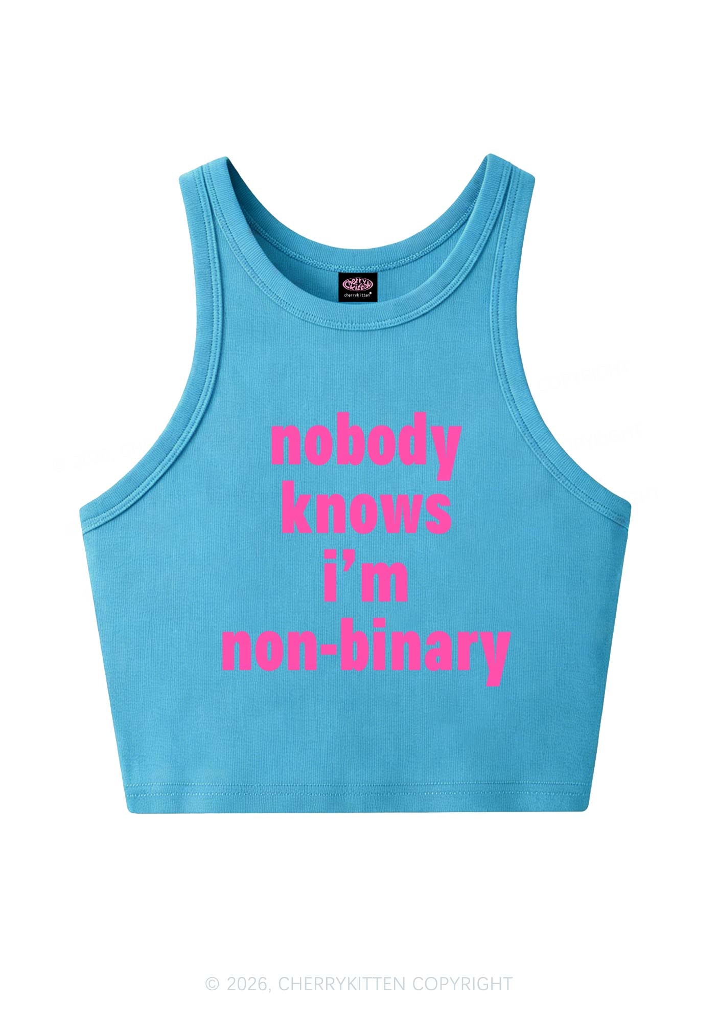 Nobody Knows Im Nonbinary Pride Y2K Crop Tank Top Cherrykitten