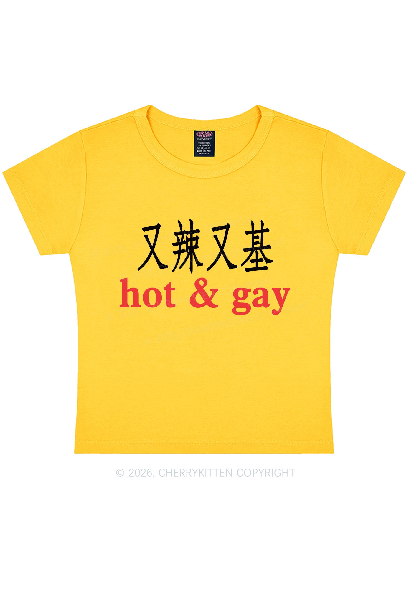 Hot Gay Pride Y2K Baby Tee Cherrykitten