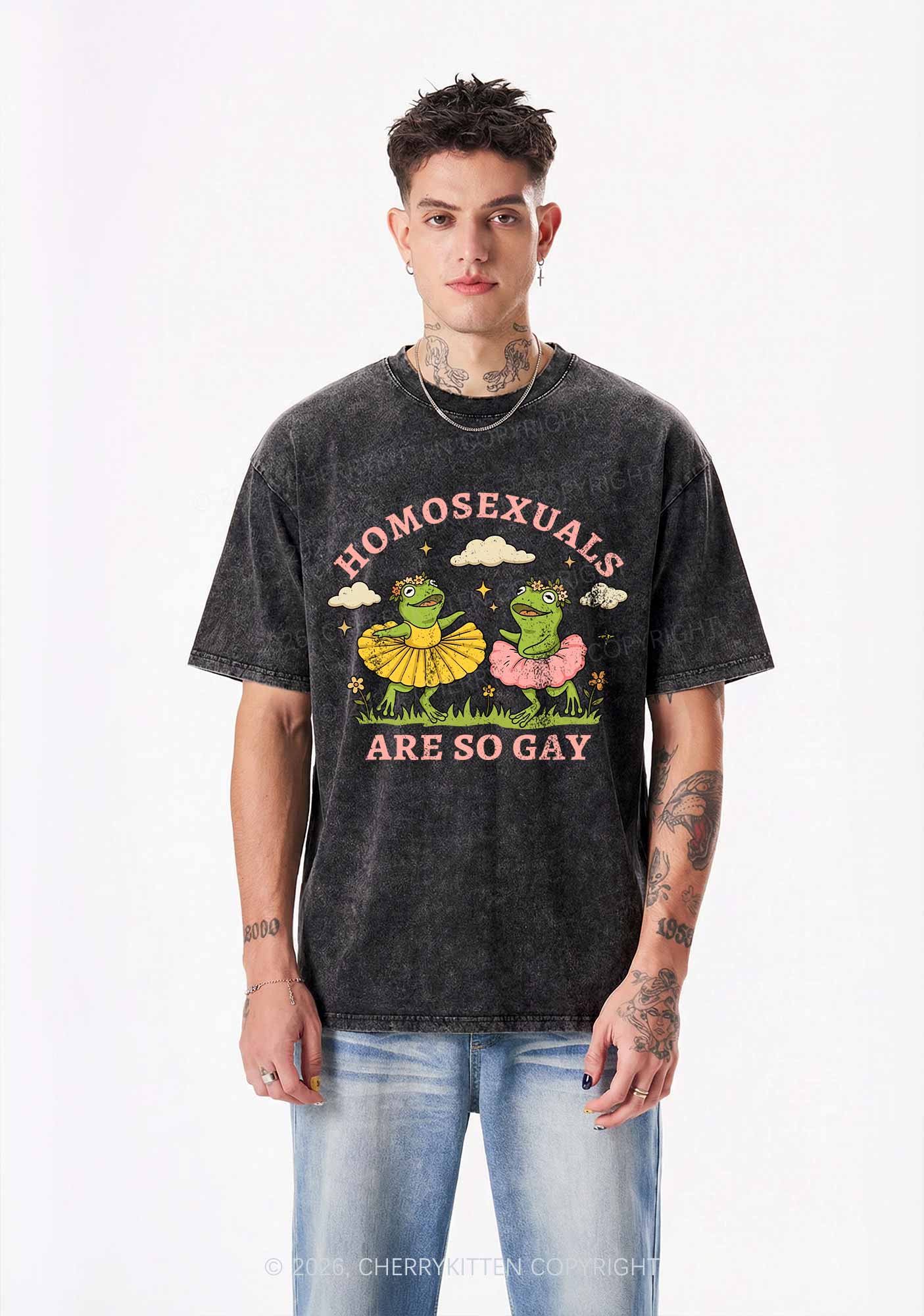 Homosexuals Are So Gay Pride Y2K Shirts Washed Tee Cherrykitten