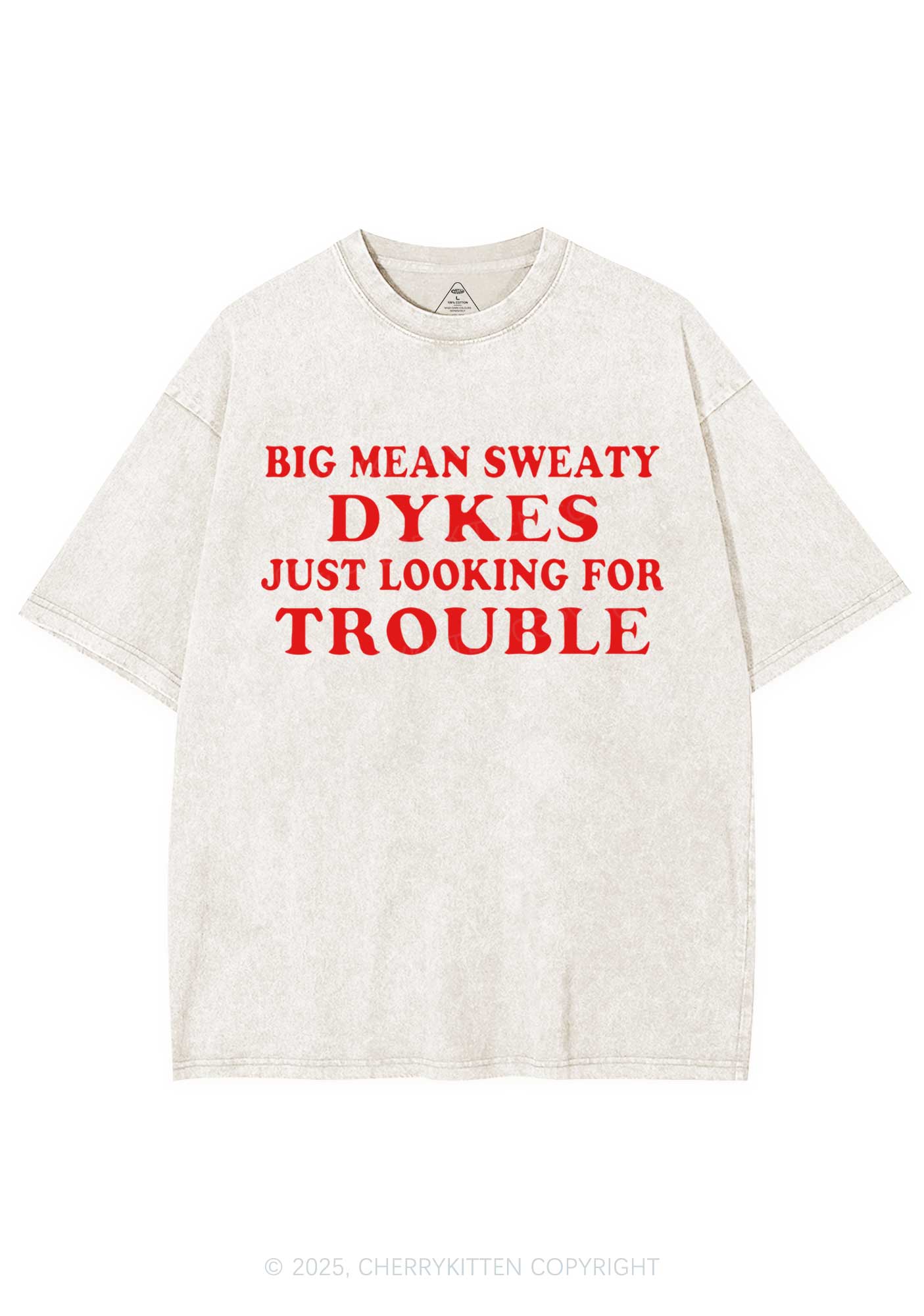 Dykes Trouble Y2K Shirts Washed Tee Cherrykitten