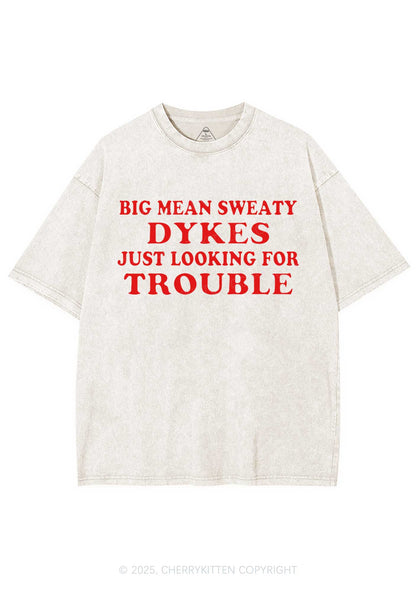 Dykes Trouble Y2K Shirts Washed Tee Cherrykitten