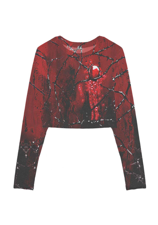 Thorned Ruby Y2K Mesh Long Sleeve Crop Top Cherrykitten