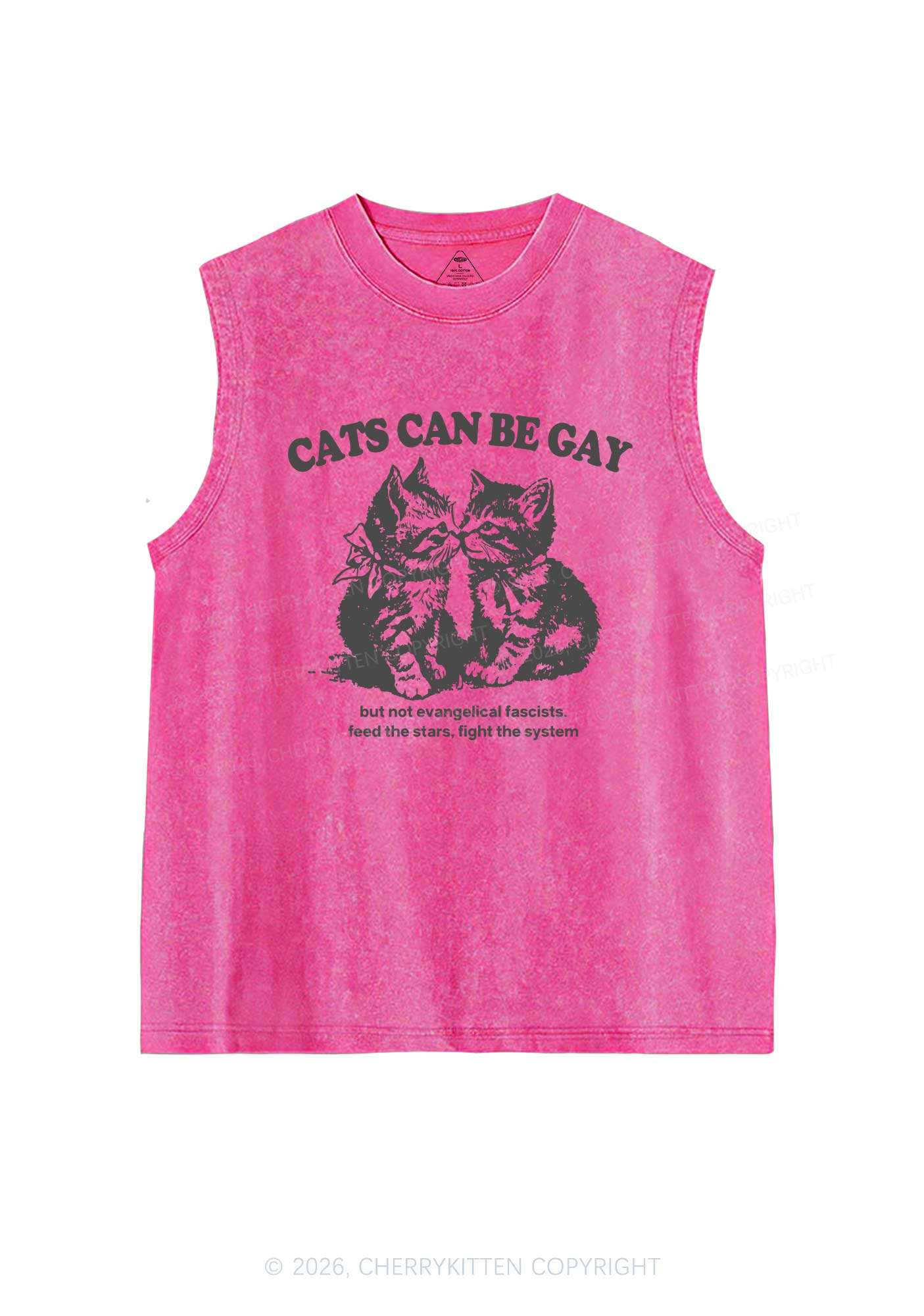 Cat Can Be Gay Pride Y2K Washed Muscle Tank Cherrykitten