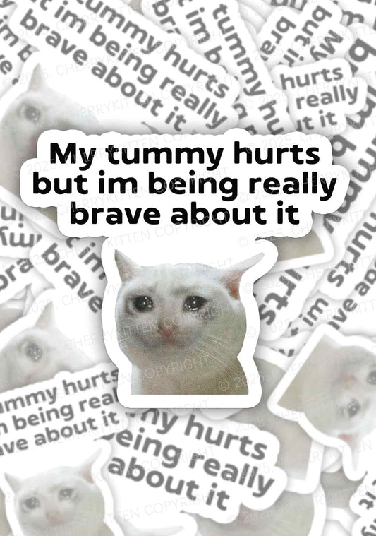 Cat Tummy Hurts 1Pc Y2K Sticker Cherrykitten