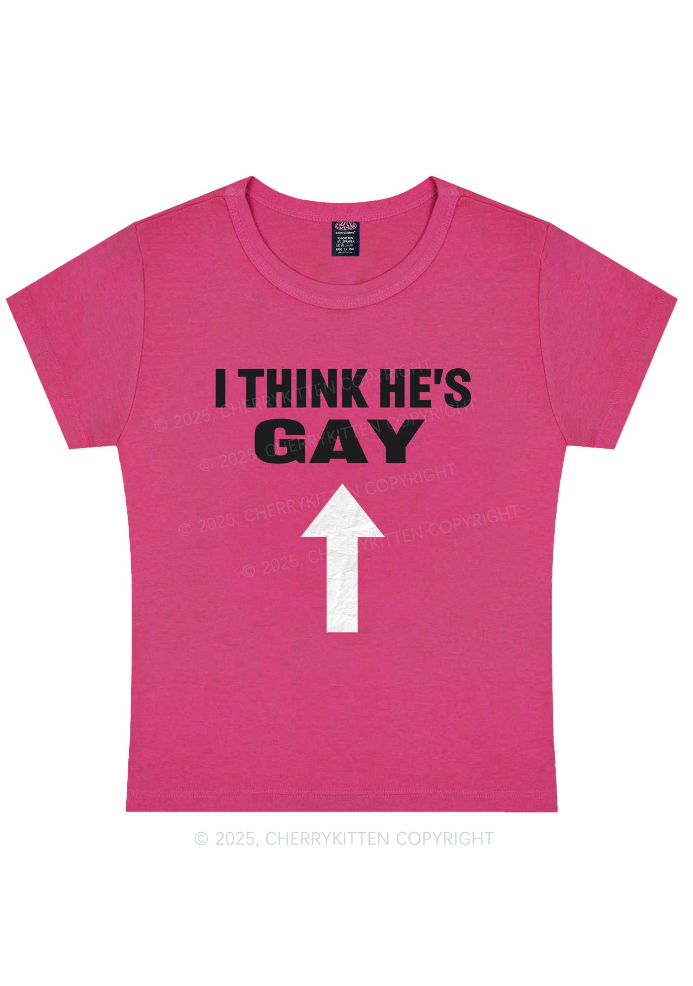 He Is Gay Y2K Baby Tee Cherrykitten
