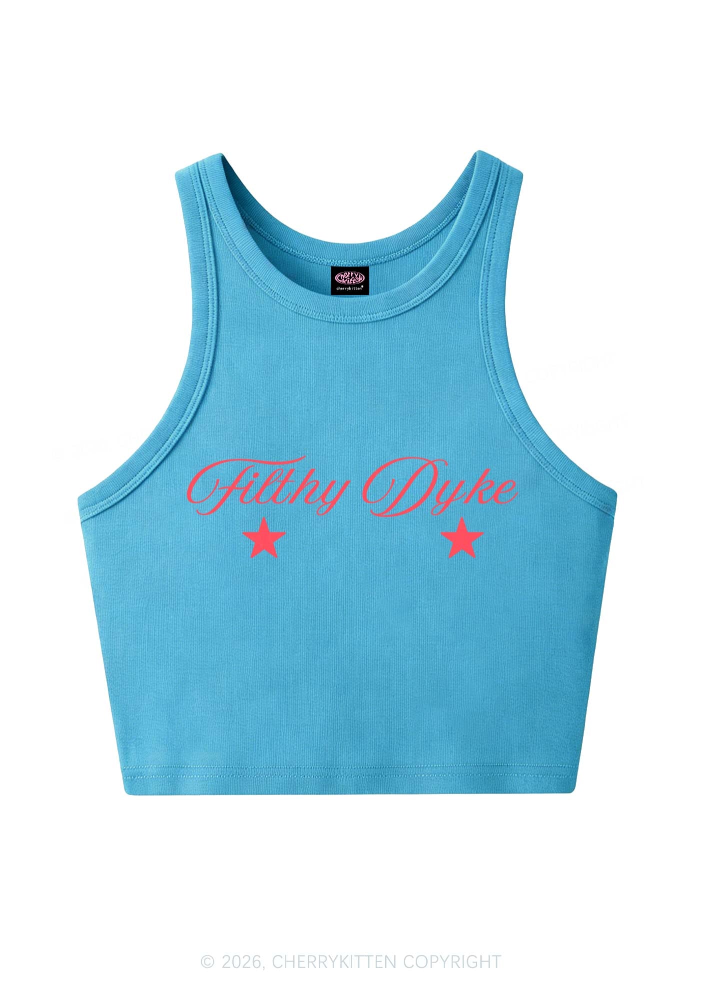 Filthy Dyke Pride Y2K Crop Tank Top Cherrykitten