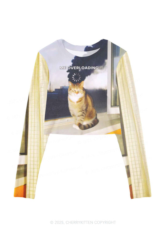 The Overloading Cat Y2K Mesh Long Sleeve Crop Top Cherrykitten