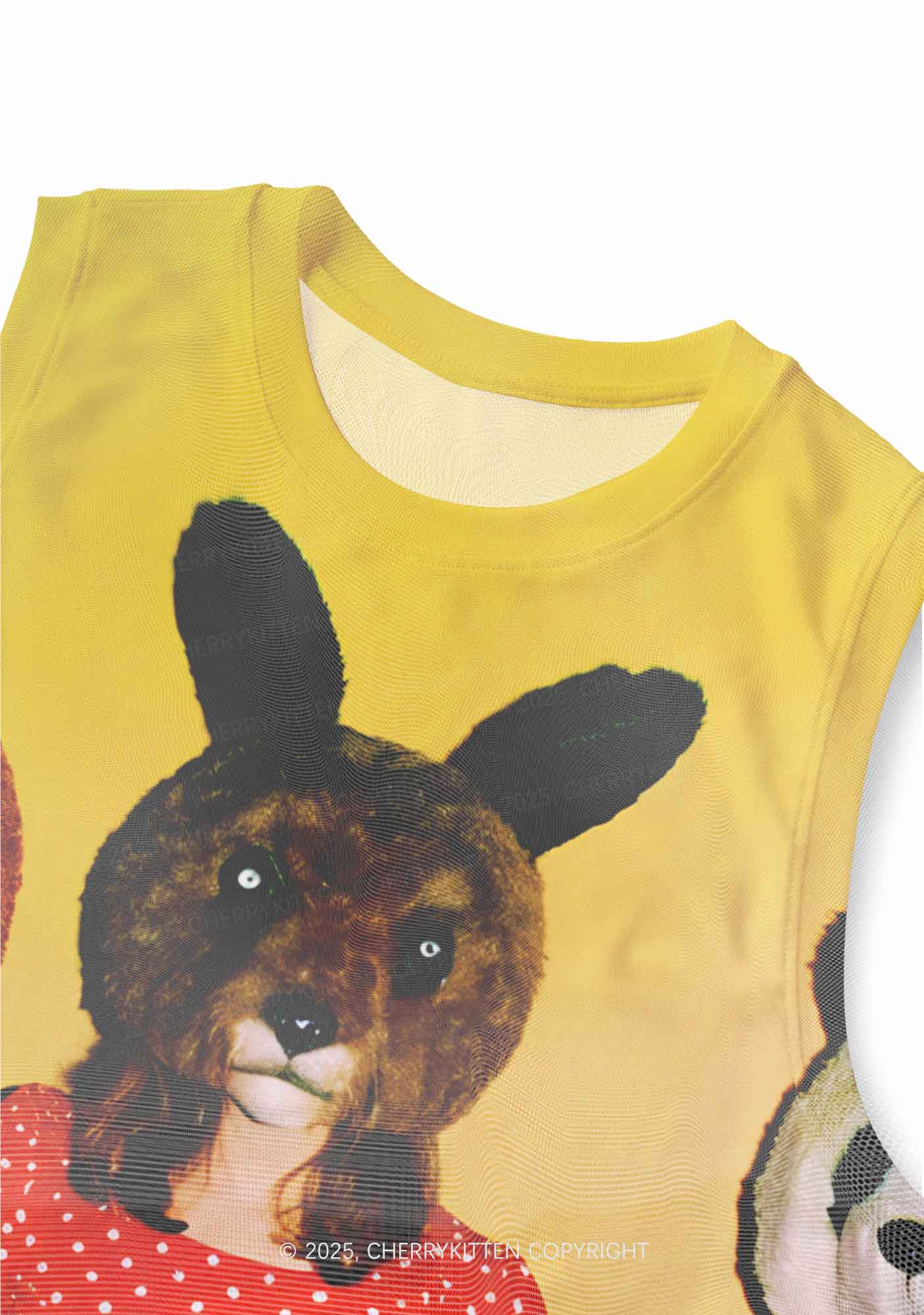 Rabbit Mask Girl Y2K Mesh Muscle Tank Cherrykitten