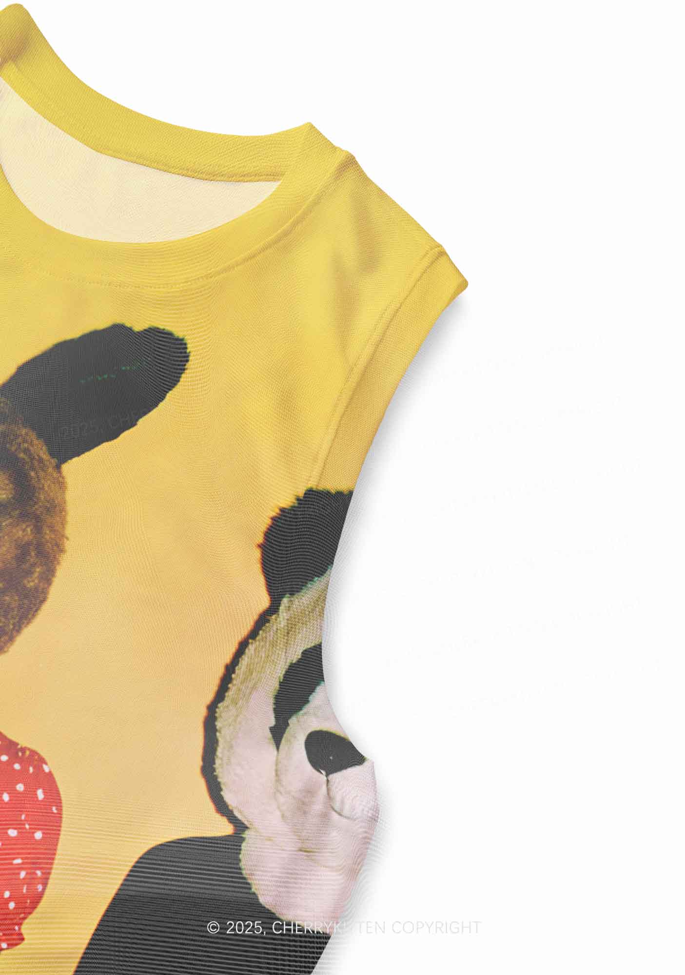 Rabbit Mask Girl Y2K Mesh Muscle Tank Cherrykitten