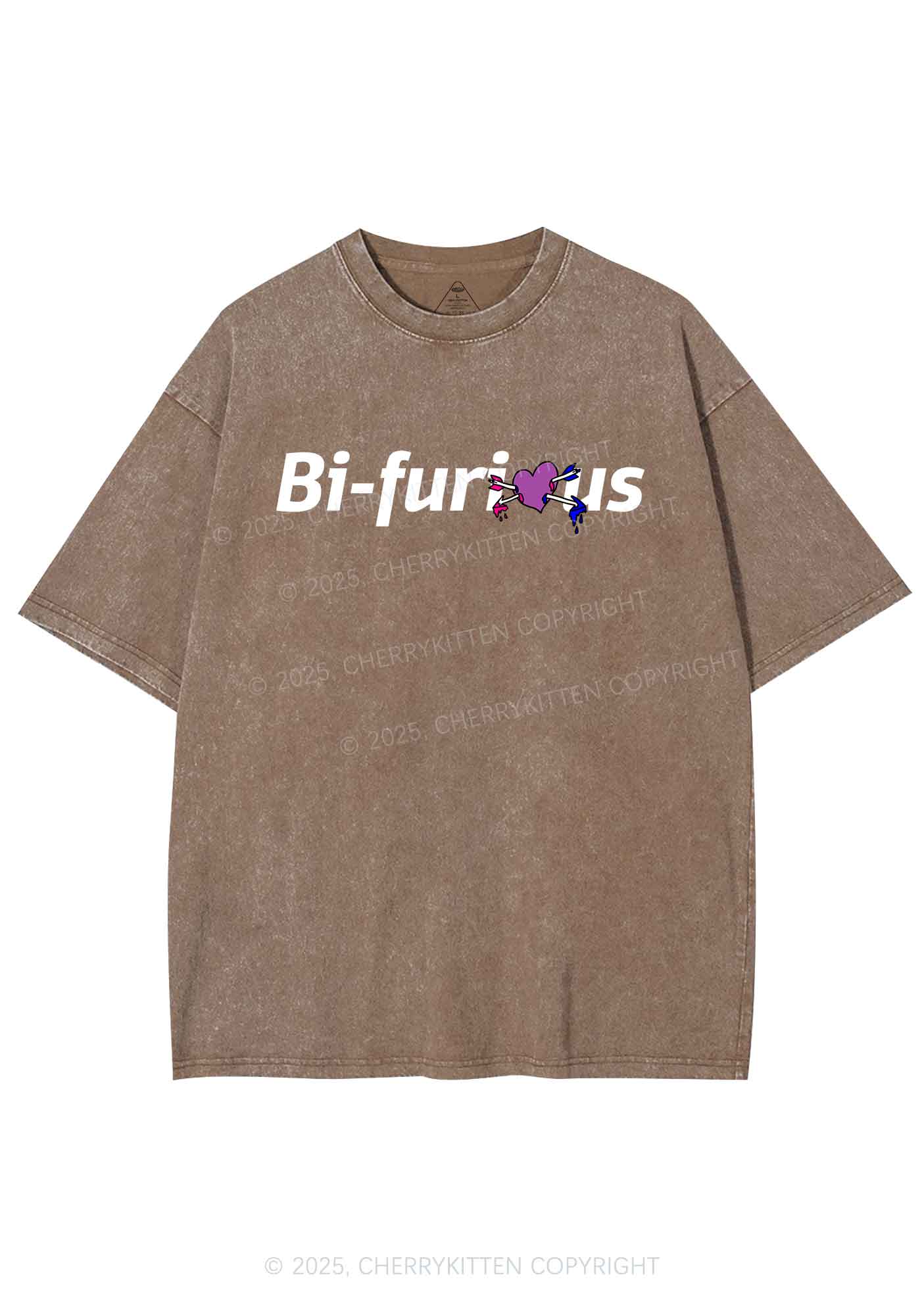 Bifurious Pride Y2K Shirts Washed Tee Cherrykitten