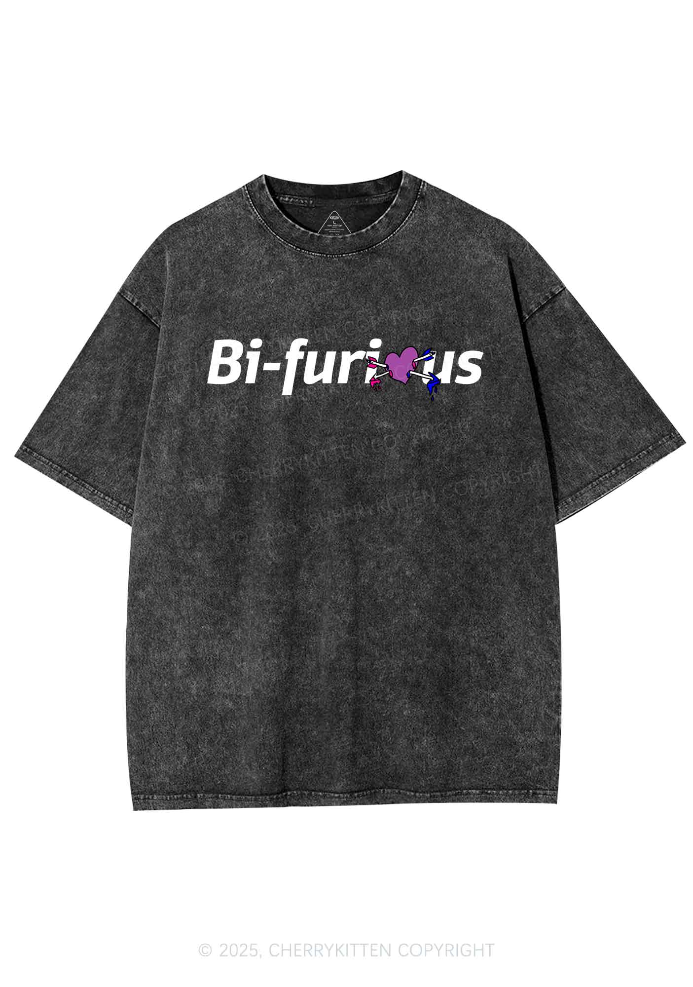 Bifurious Pride Y2K Shirts Washed Tee Cherrykitten