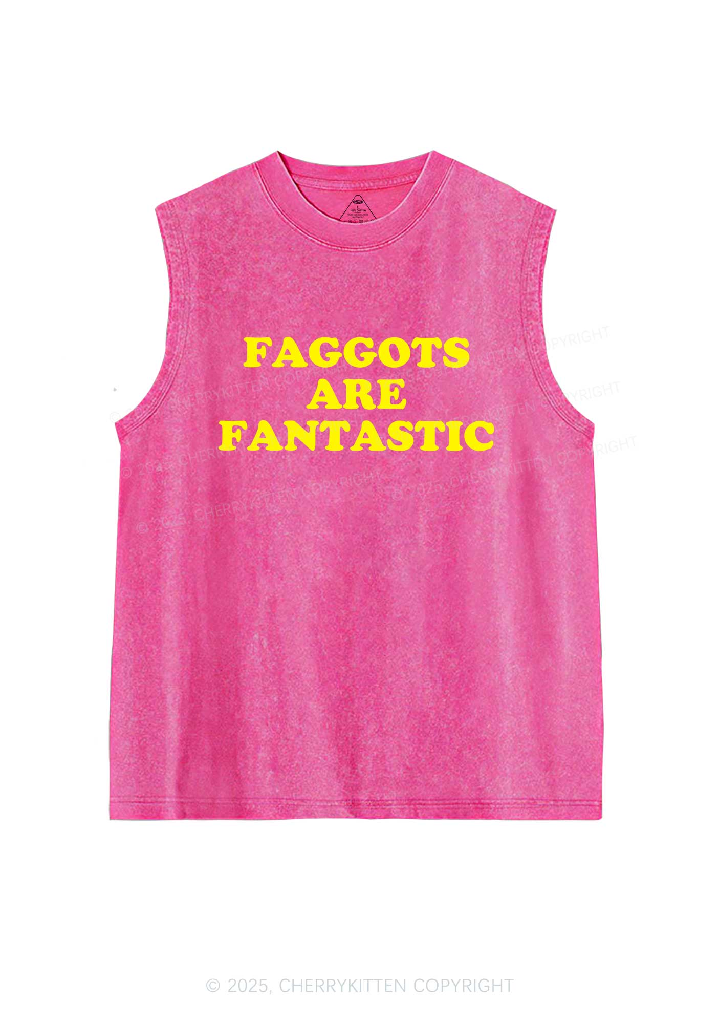 Faggots Are Fantastic Pride Y2K Washed Muscle Tank Cherrykitten
