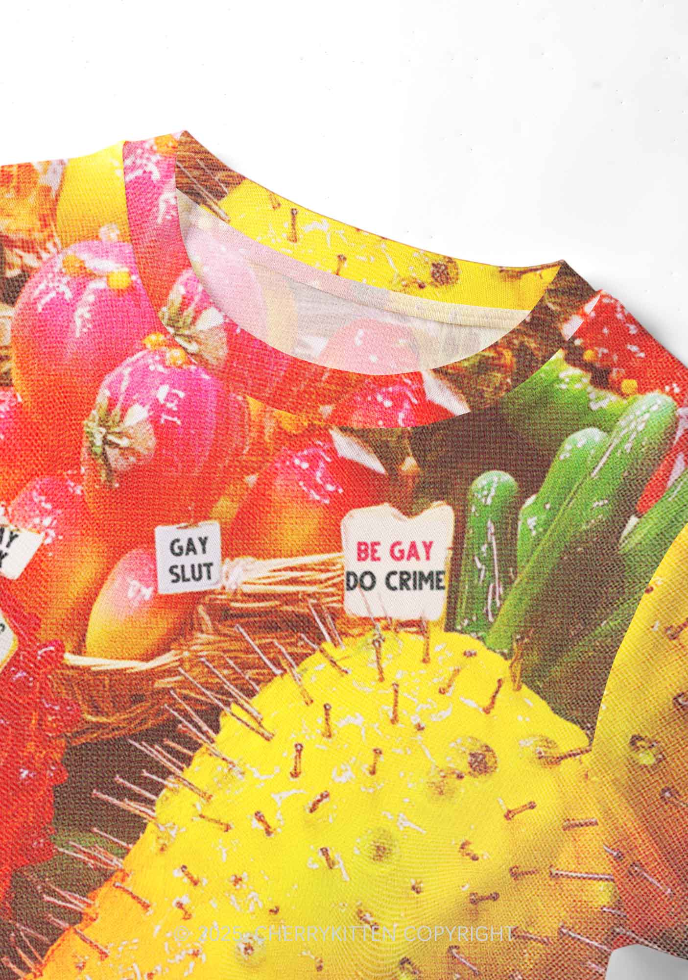 Various Fruits Pride Y2K Mesh Crop Top Cherrykitten