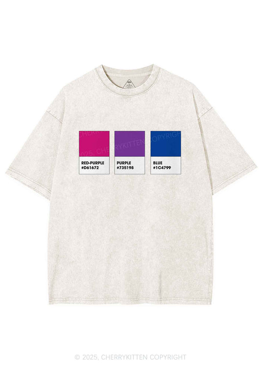 Bisexual Flag Colors Pride Y2K Shirts Washed Tee Cherrykitten