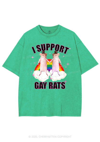 Support Gay Rats Pride Y2K Shirts Washed Tee Cherrykitten