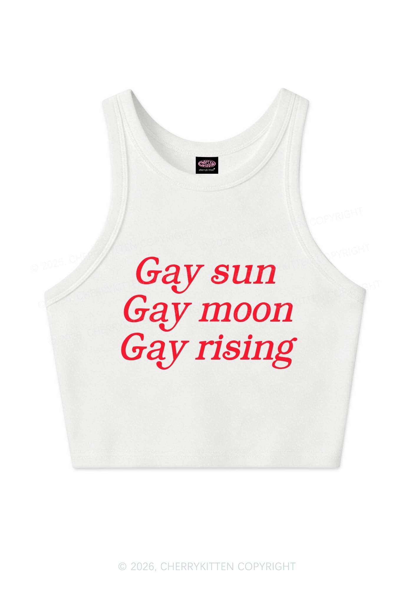 Gay Sun Moon Rising Pride Y2K Crop Tank Top Cherrykitten