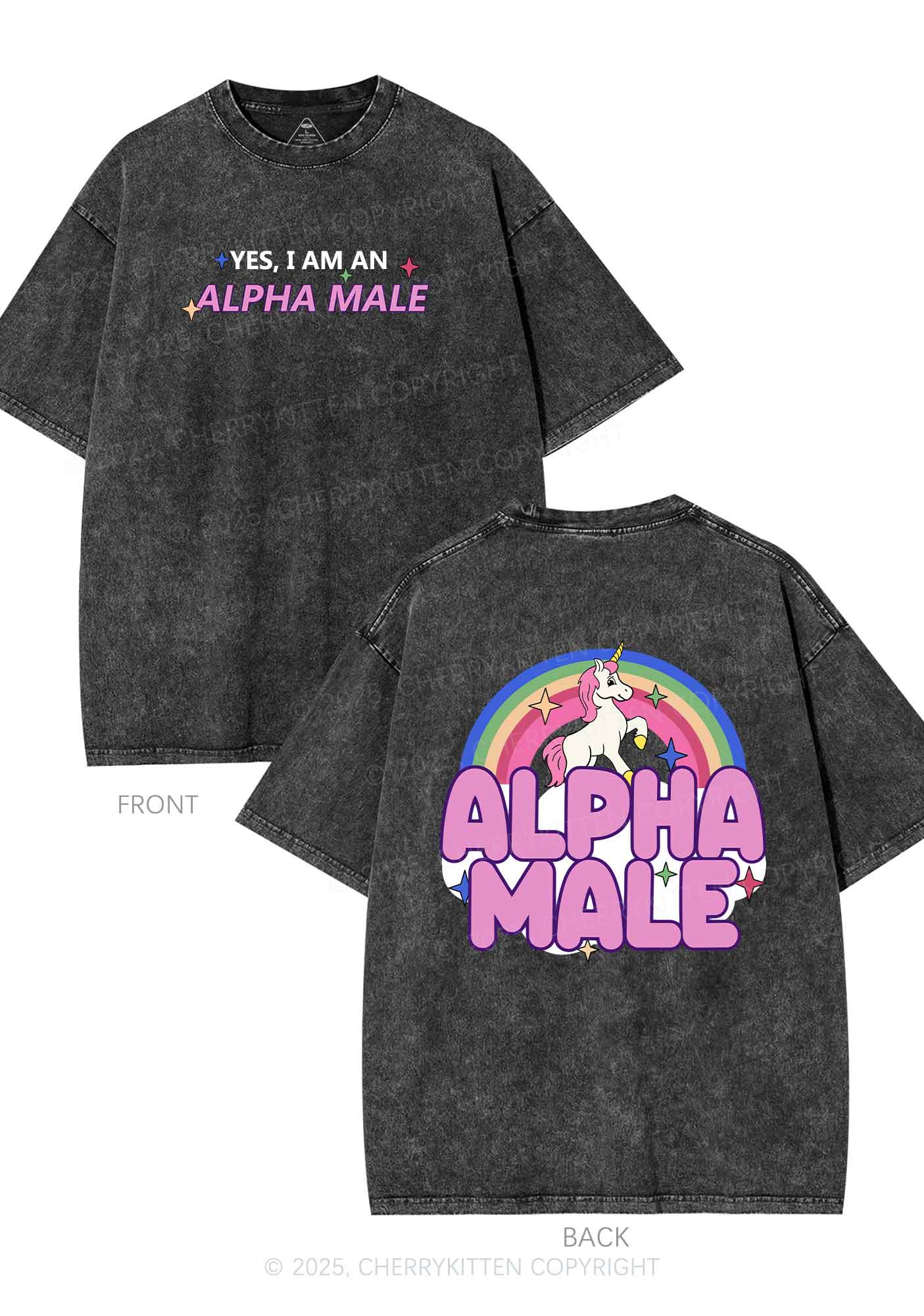 Alpha Male Two Sides Pride Y2K Shirts Washed Tee Cherrykitten