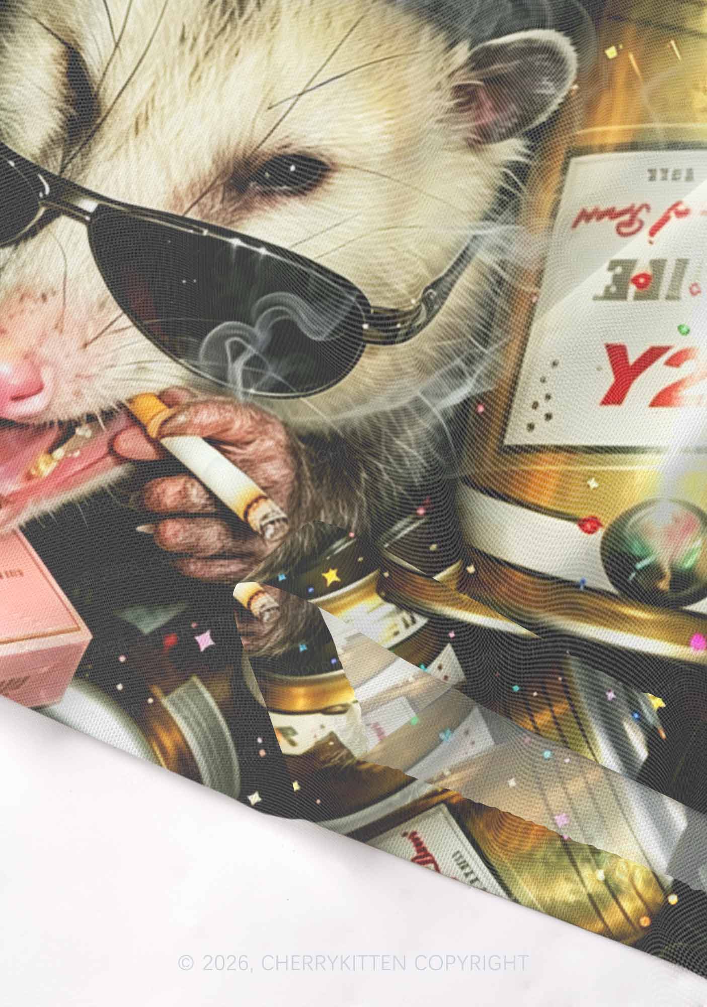 Smoking Opossum Y2K Mesh Crop Top Cherrykitten