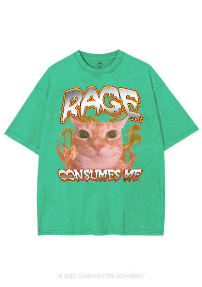 Rage Consumes Me Cat Y2K Shirts Washed Tee Cherrykitten