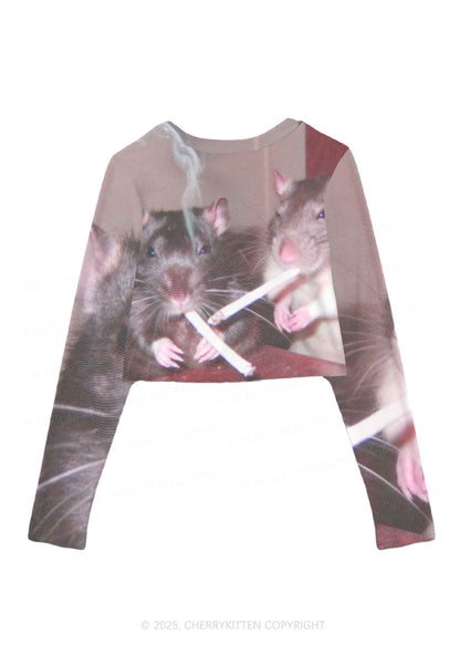Smoking Rats Y2K Mesh Long Sleeve Crop Top Cherrykitten