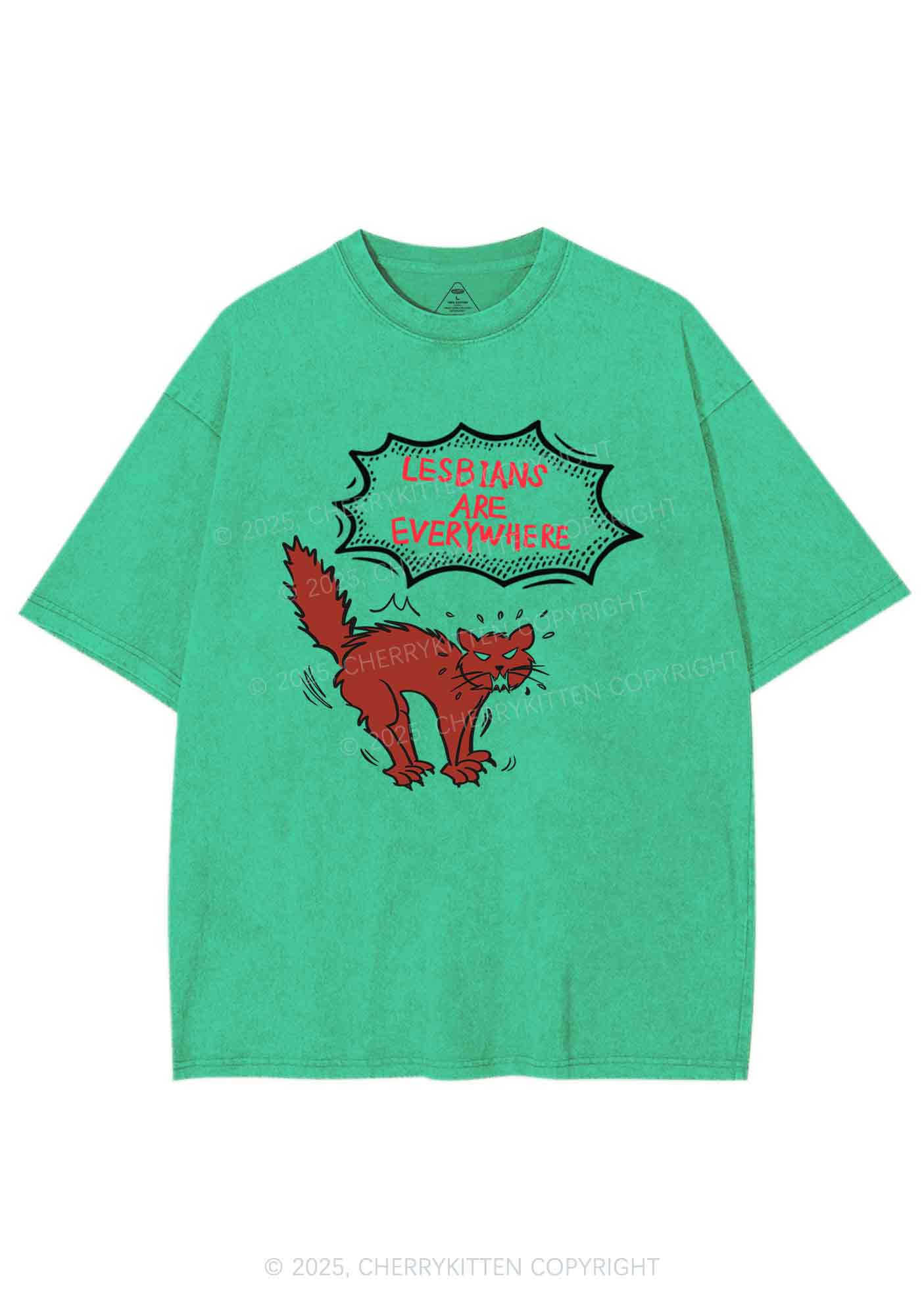 Lesbians Are Everywhere Y2K Shirts Washed Tee Cherrykitten