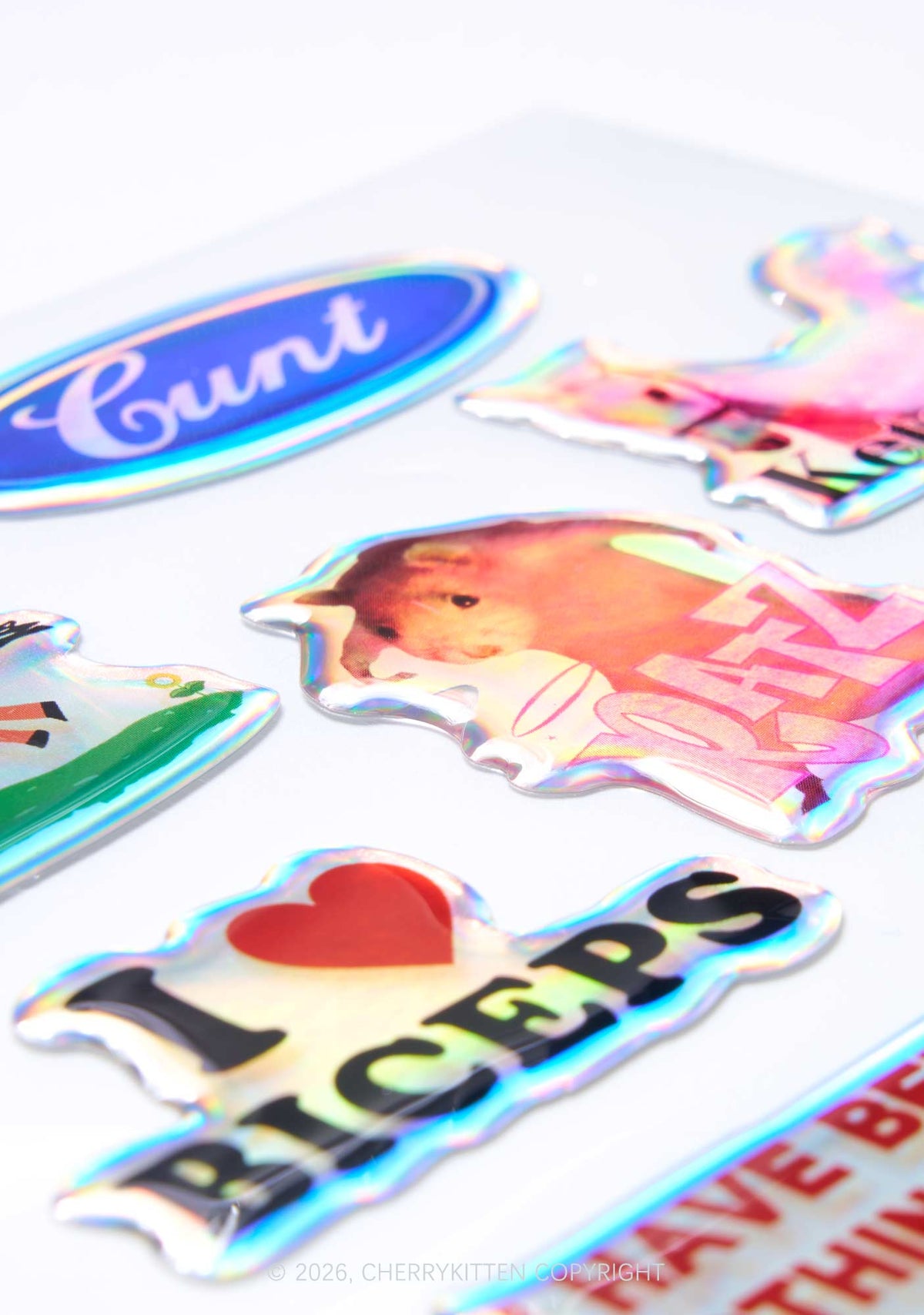 Cherrykitten Popular Holographic Y2K Stickers Pack Of 10