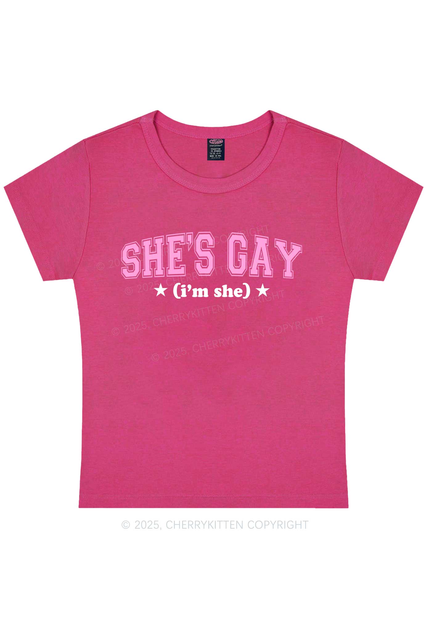 She Is Gay Y2K Baby Tee Cherrykitten