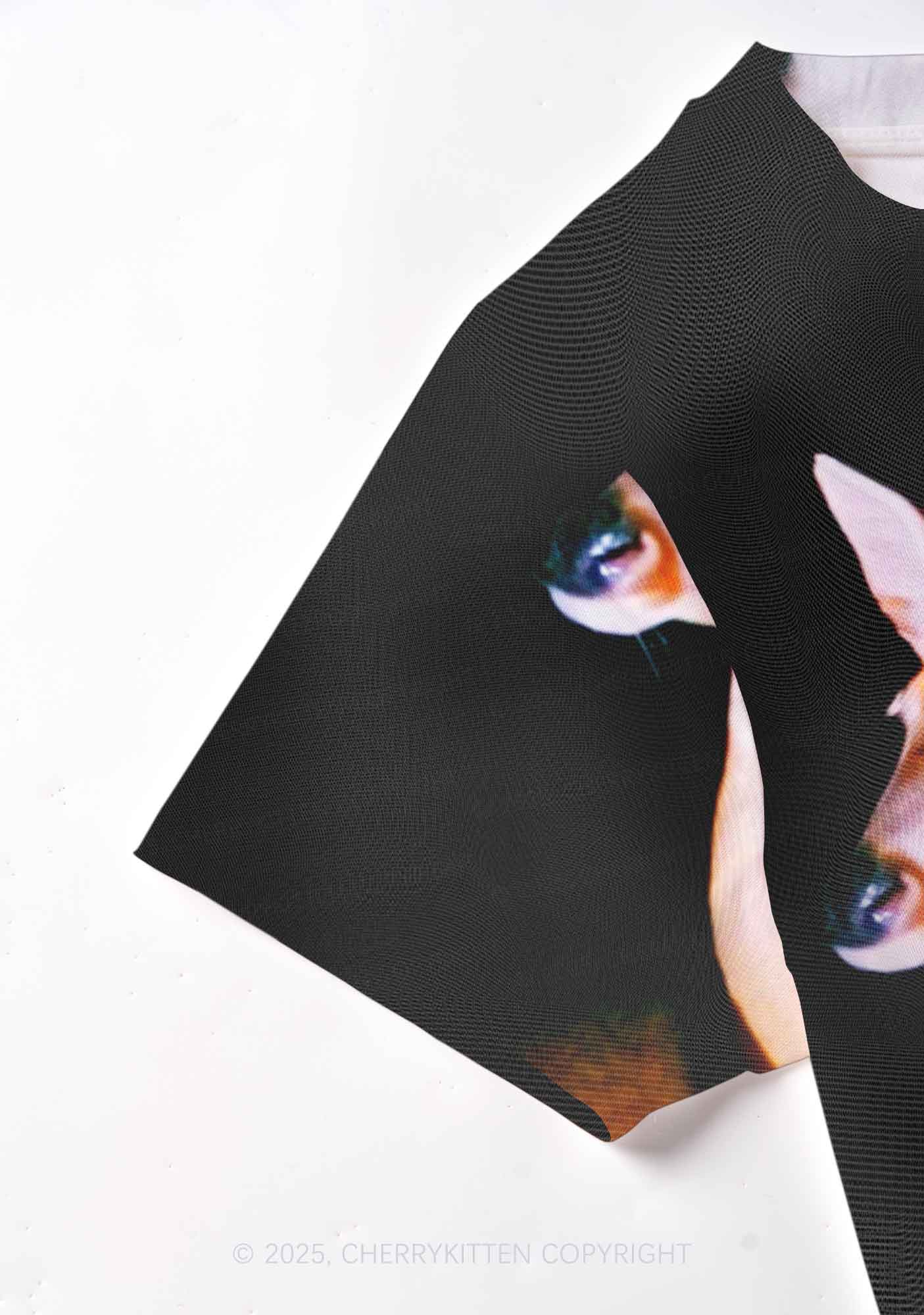 Deer Wings Y2K Mesh Crop Top Cherrykitten