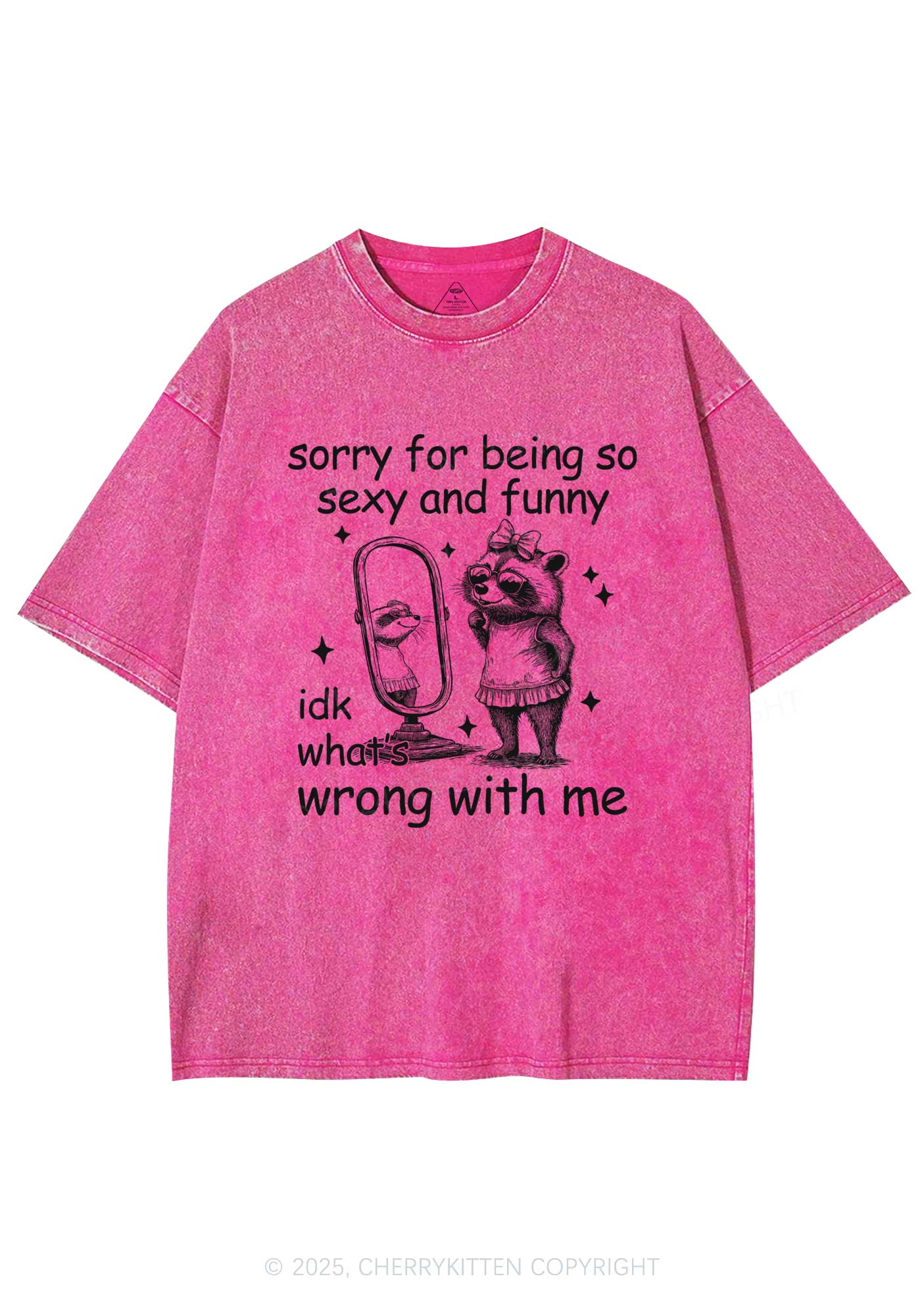 So Funny Raccoon Y2K Shirts Washed Tee Cherrykitten