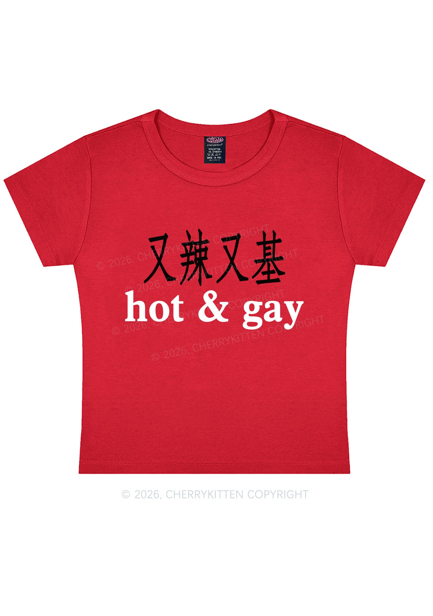 Hot Gay Pride Y2K Baby Tee Cherrykitten
