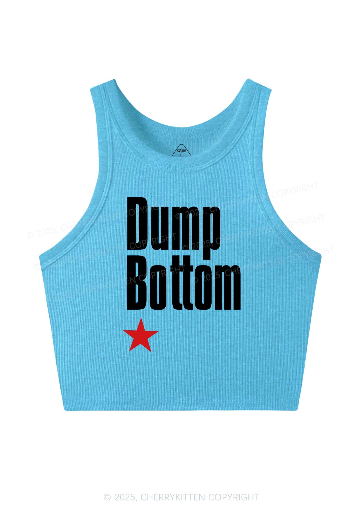 Dump Bottom Pride Y2K Crop Tank Top Cherrykitten