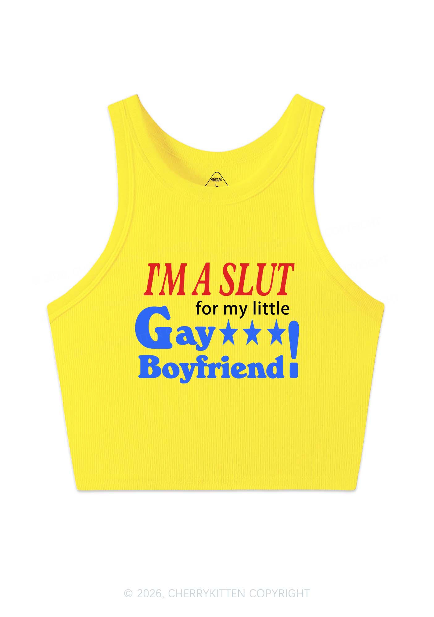 Slxt For Gay Boyfriend Pride Y2K Crop Tank Top Cherrykitten