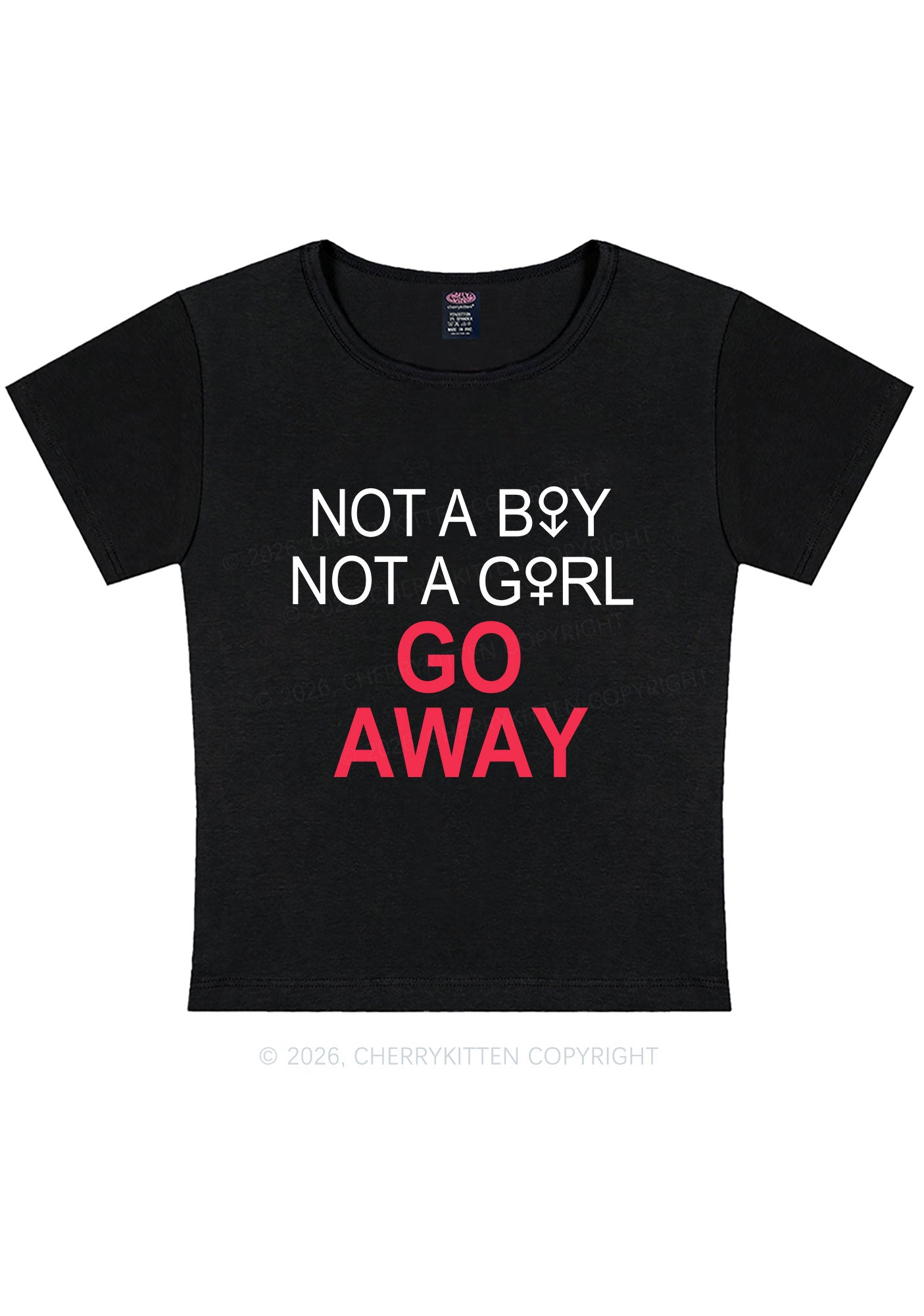 Go Away Pride Y2K Baby Tee Cherrykitten