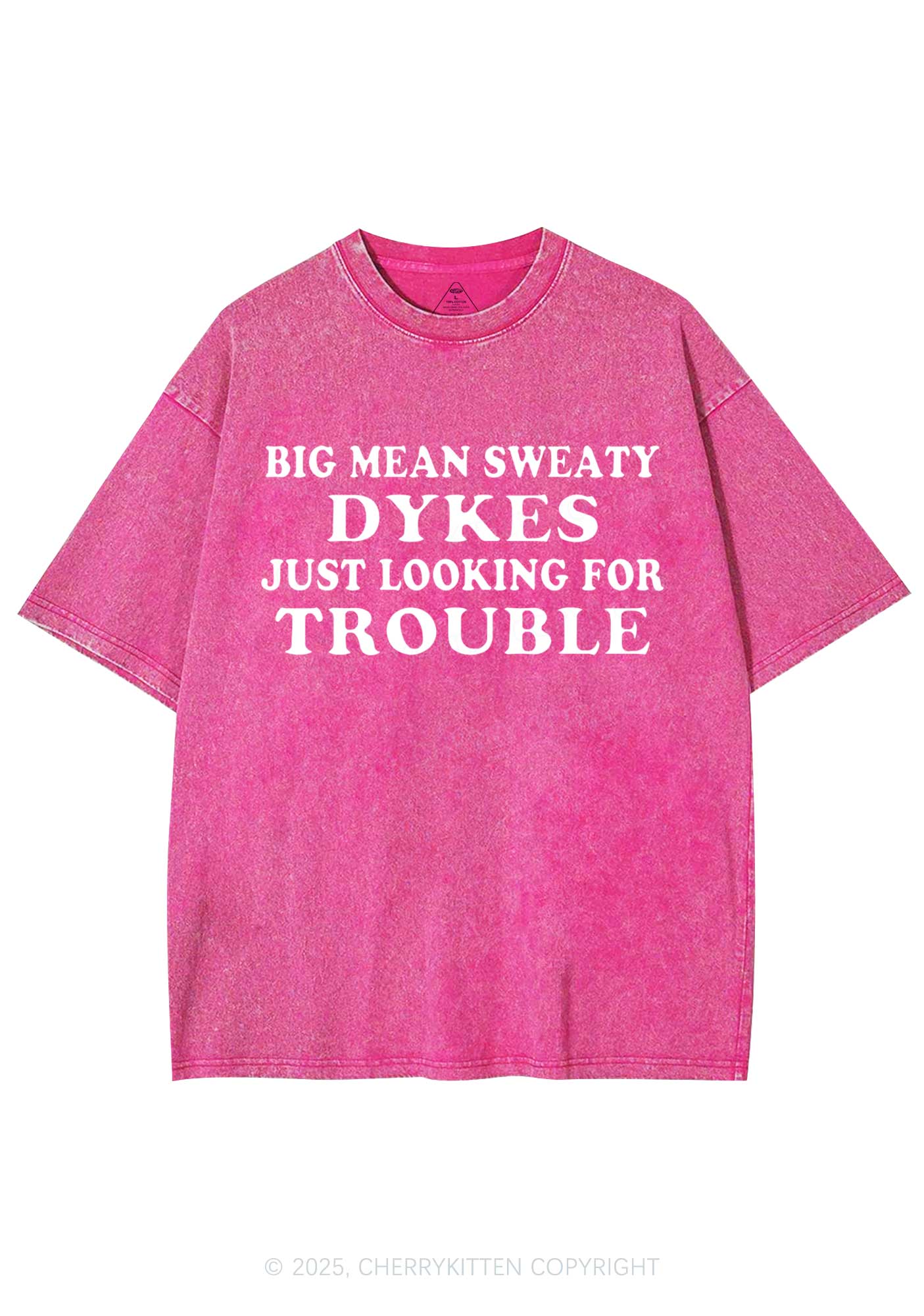 Dykes Trouble Y2K Shirts Washed Tee Cherrykitten