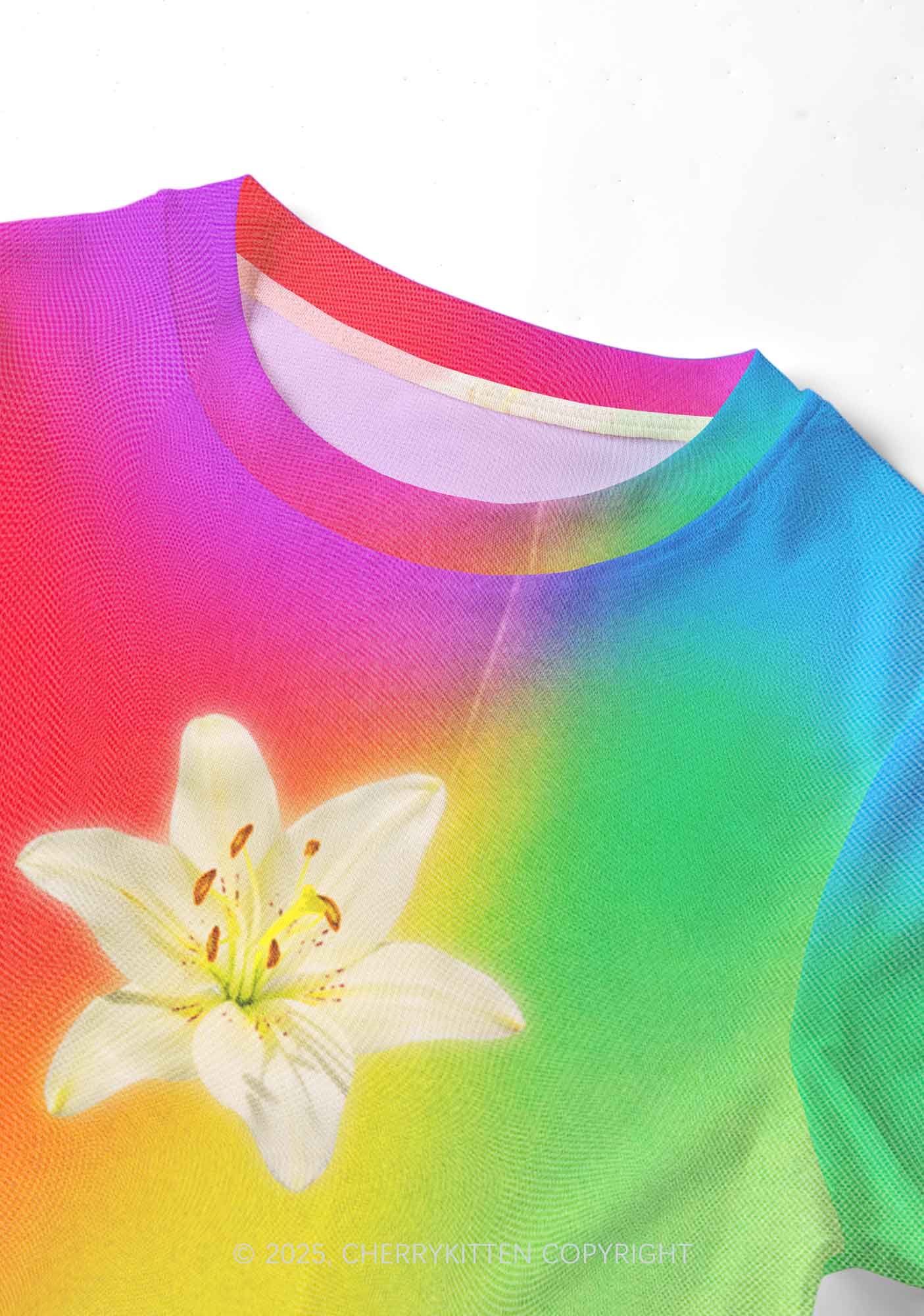 Lily in Rainbow Pride Y2K Mesh Crop Top Cherrykitten