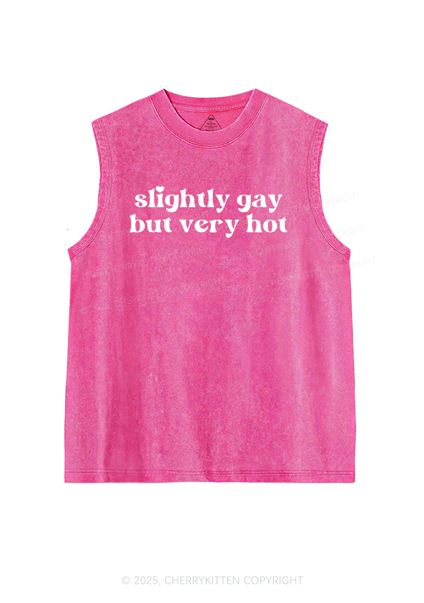 Slightly Gay But Very Hot Pride Y2K Washed Muscle Tank Cherrykitten