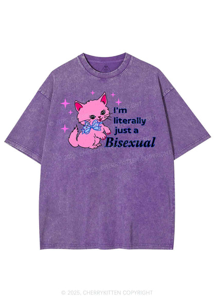 Literally Just A Bisexual Pride Y2K Shirts Washed Tee Cherrykitten