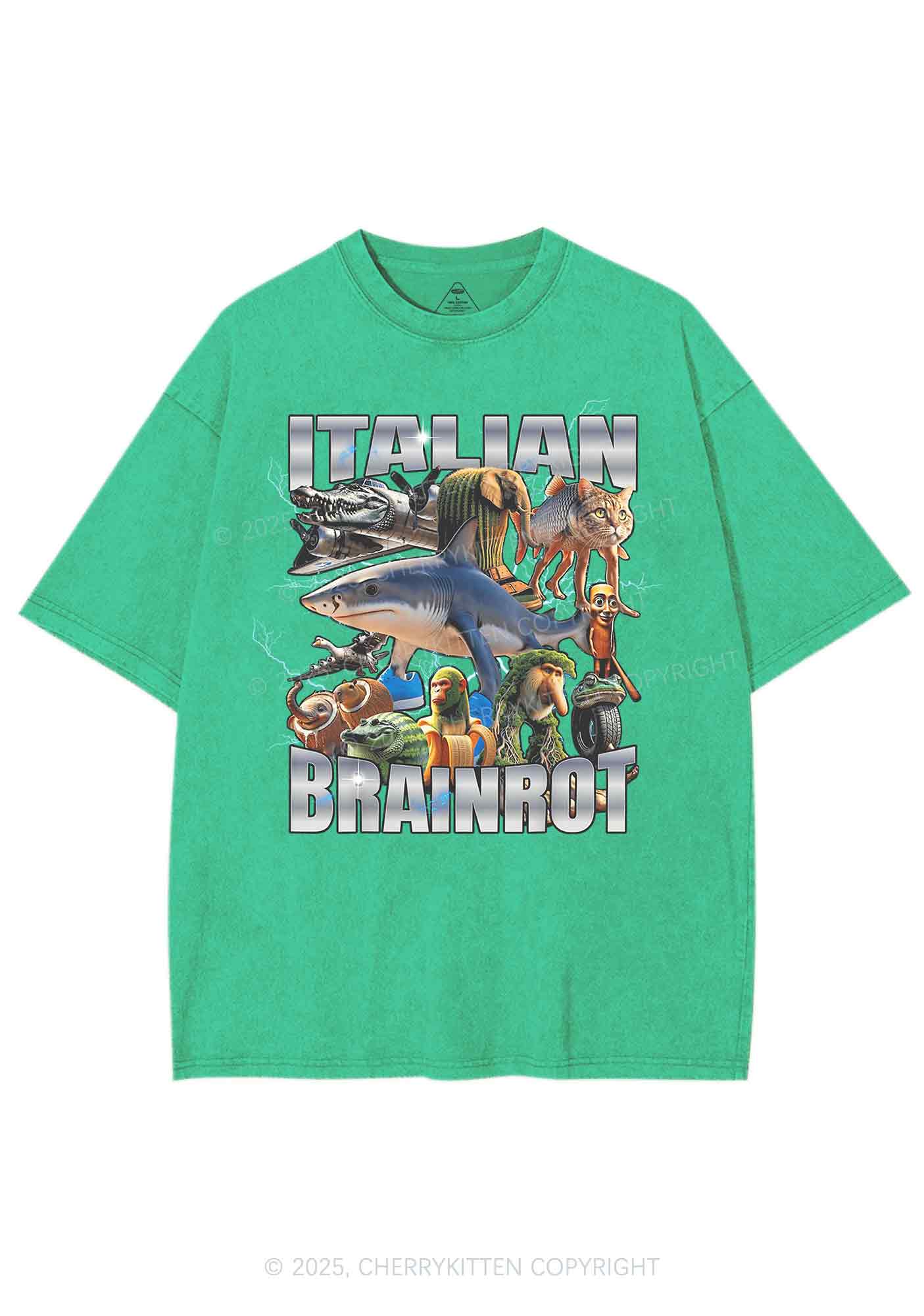 Italian Brainrot Collection Y2K Shirts Washed Tee Cherrykitten