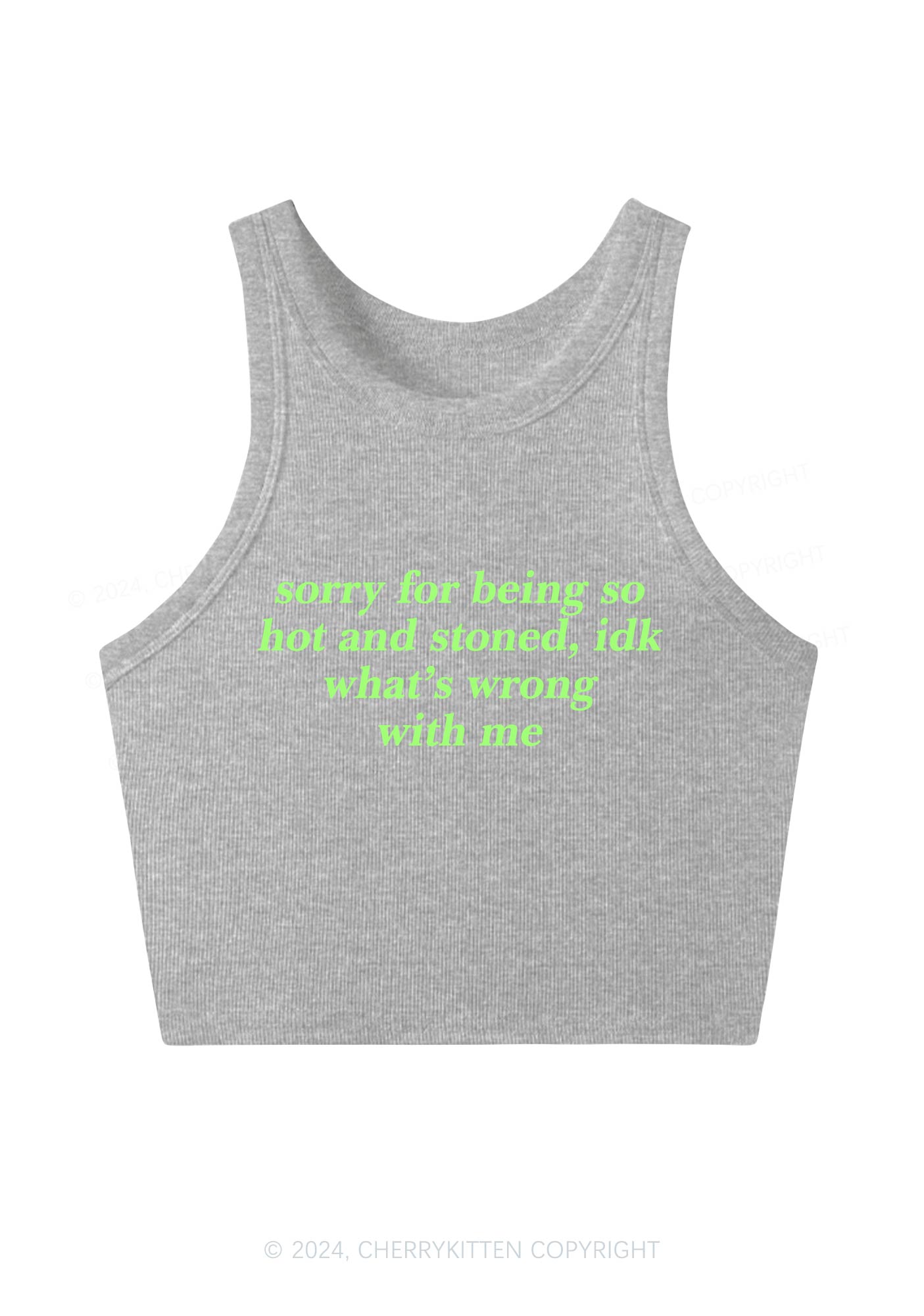 Sorry For Being Hot And Stoned Y2K Crop Tank Top Cherrykitten