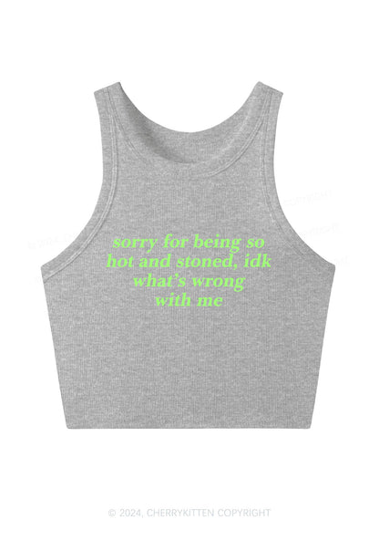 Sorry For Being Hot And Stoned Y2K Crop Tank Top Cherrykitten