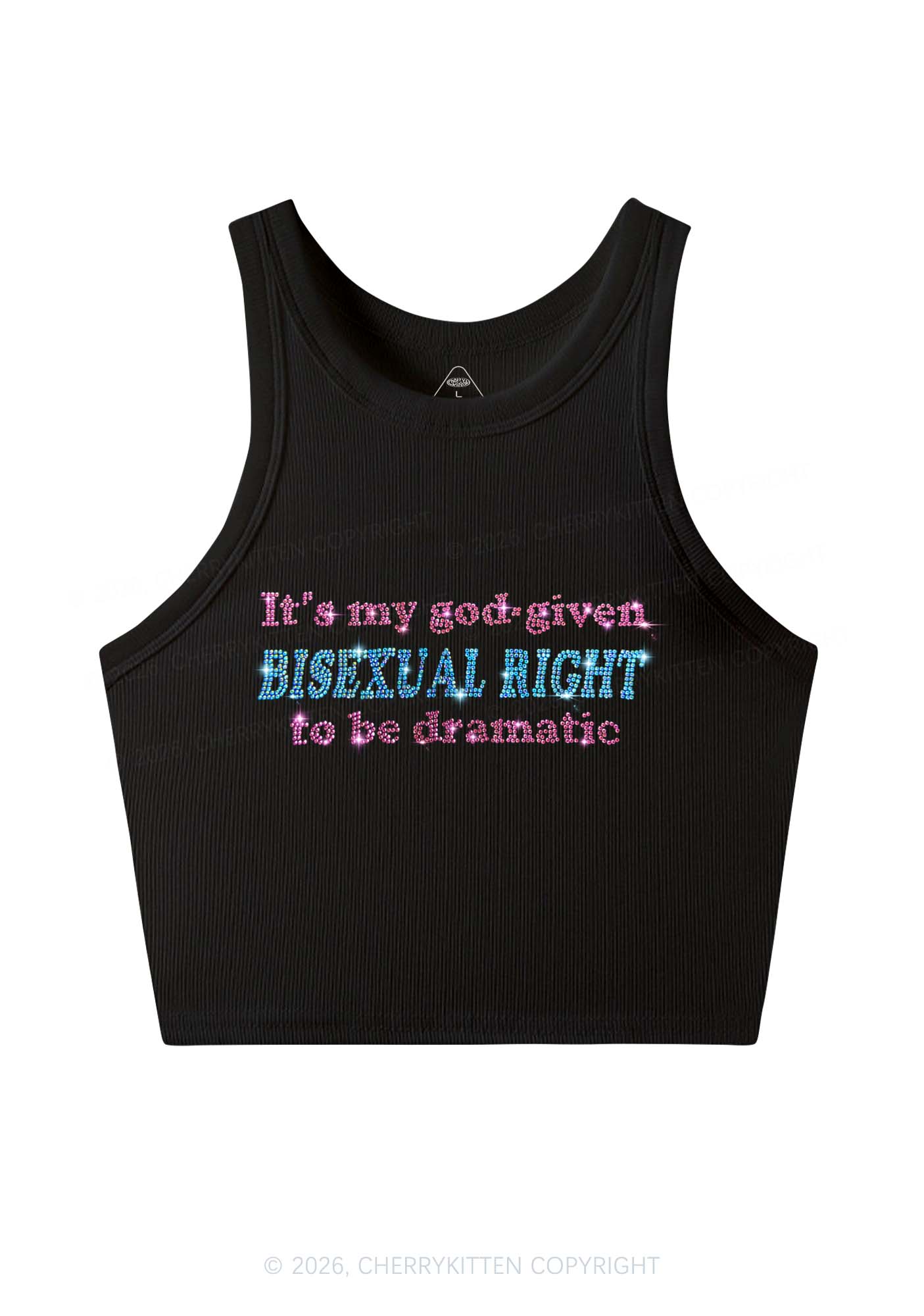 Rhinestone God Given Bisexual Right Pride Y2K Crop Tank Top Cherrykitten