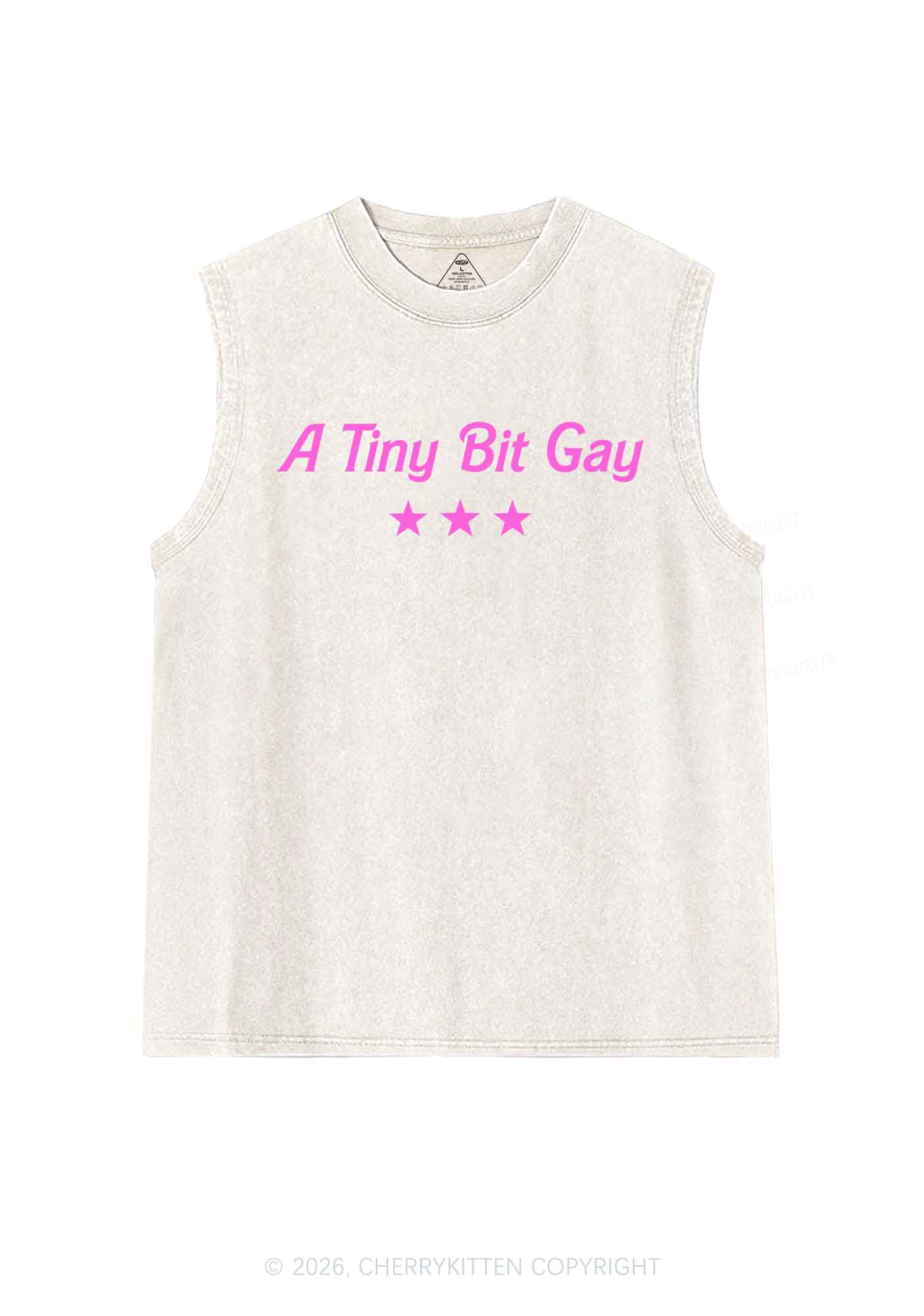 A Tiny Bit Gay Pride Y2K Washed Muscle Tank Cherrykitten
