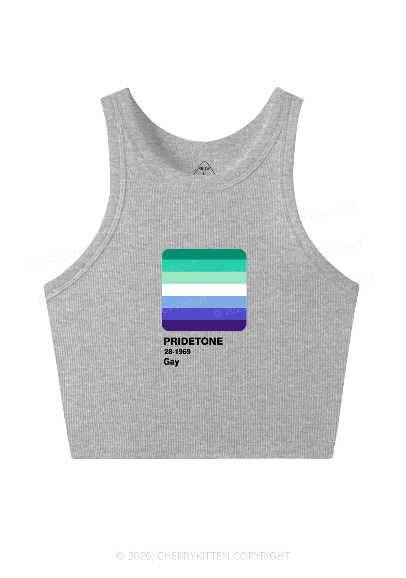 Pridetone Gay Pride Y2K Crop Tank Top Cherrykitten