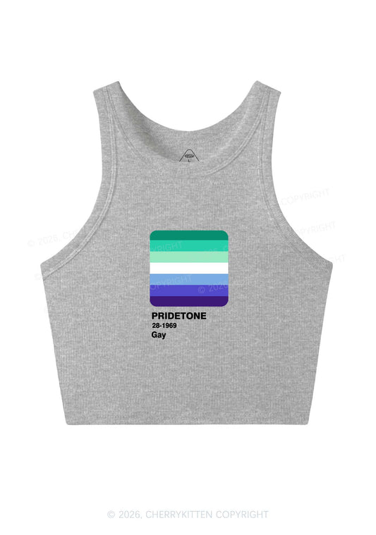 Pridetone Gay Pride Y2K Crop Tank Top Cherrykitten