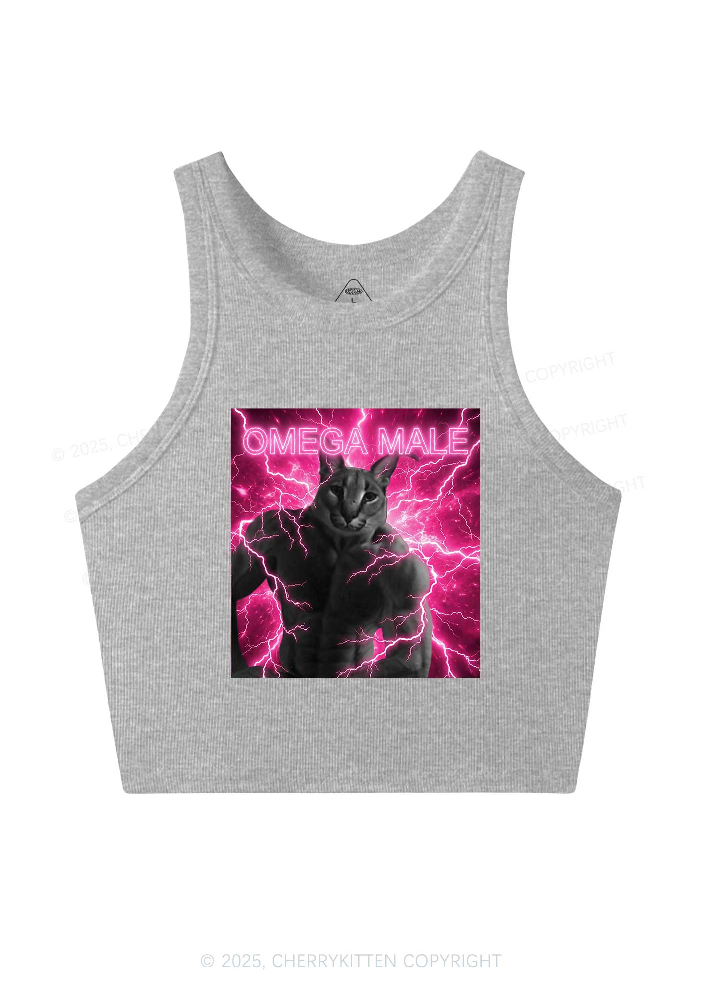 Omega Male Y2K Crop Tank Top Cherrykitten